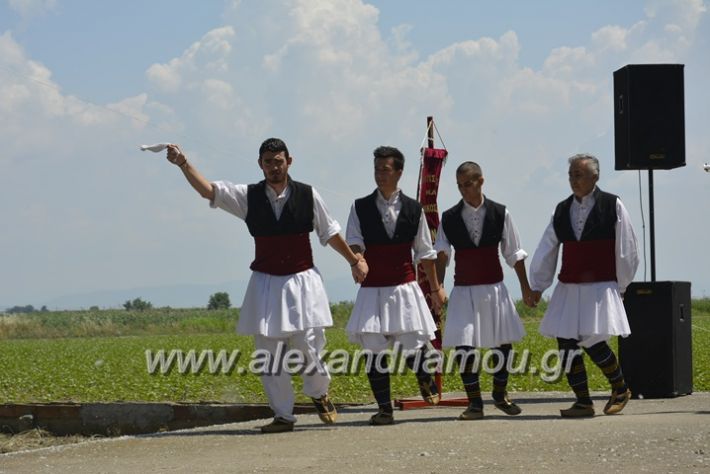 alexandriamou.gr_trikala28.5.2018047